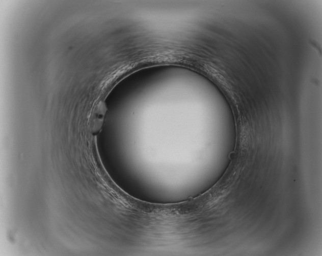 X0000102300673200808011541