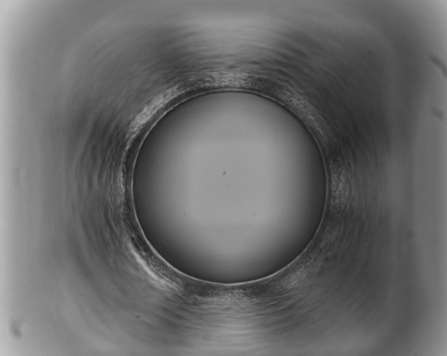 X0000102300674200808011541