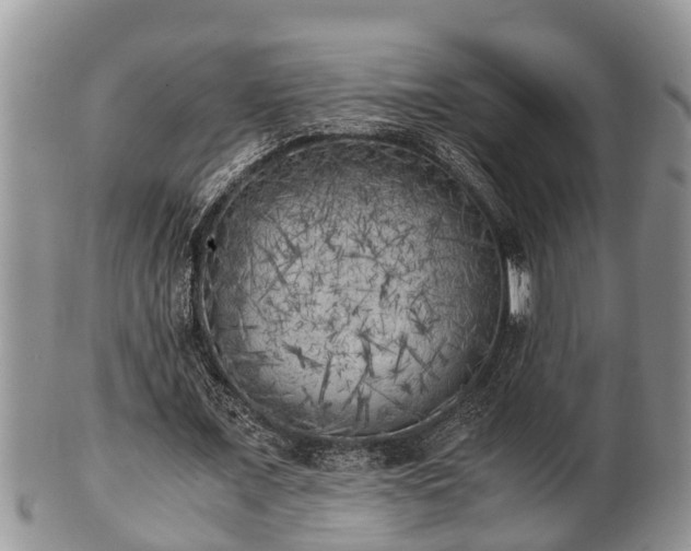 X0000102300675200808011541