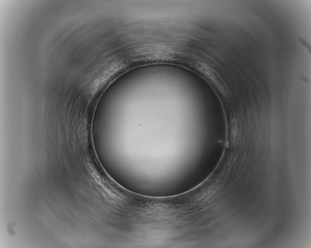 X0000102300677200808011541