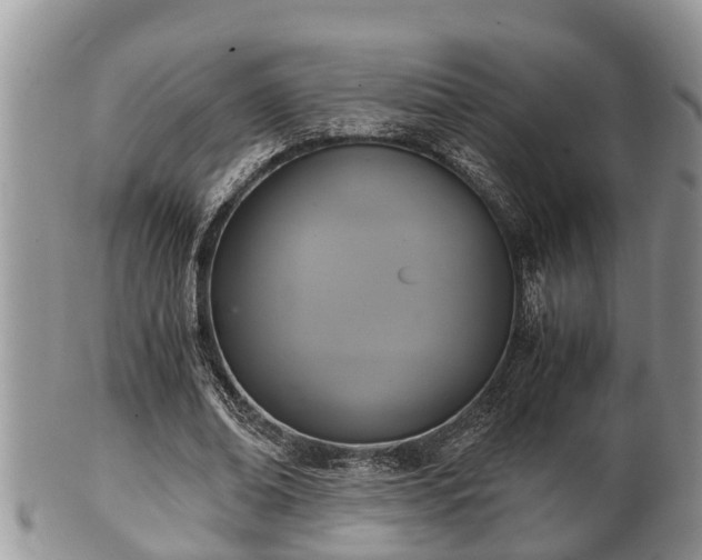 X0000102300678200808011541