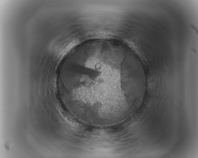 X0000102300679200808011541