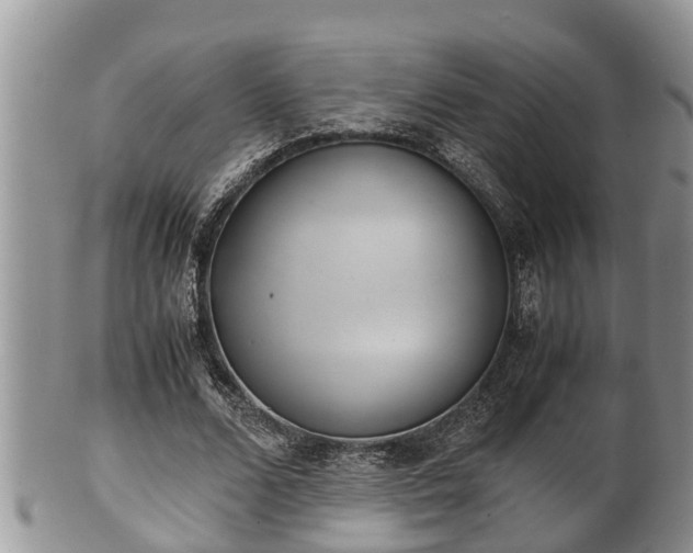 X0000102300680200808011541