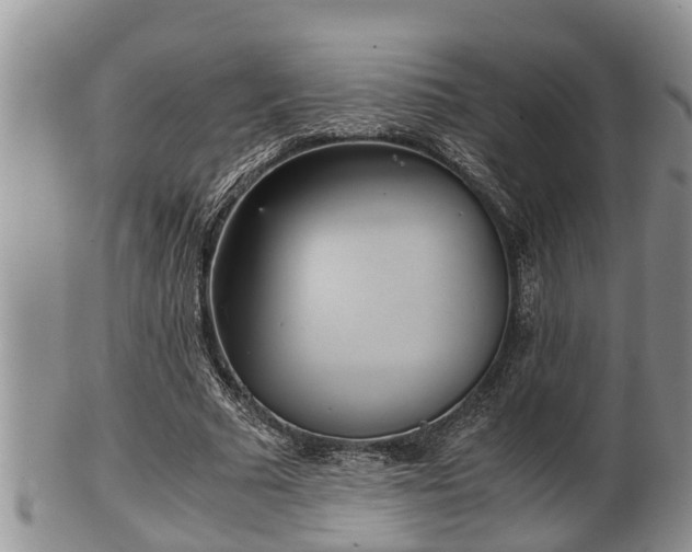 X0000102300681200808011541