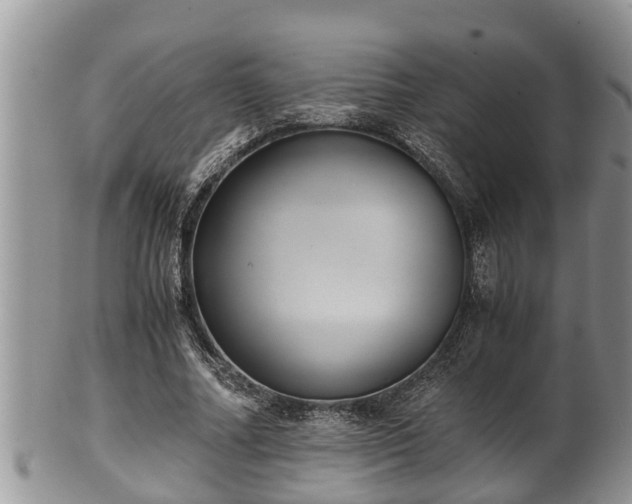 X0000102300682200808011541