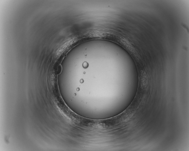 X0000102300683200808011541