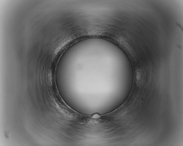 X0000102300684200808011541