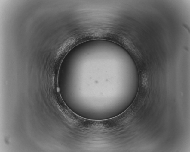 X0000102300685200808011541