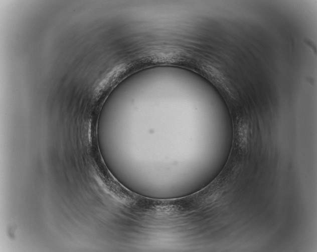 X0000102300686200808011541