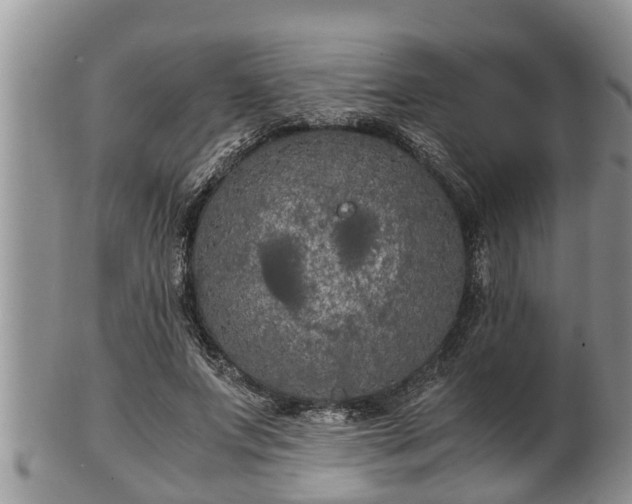 X0000102300687200808011540