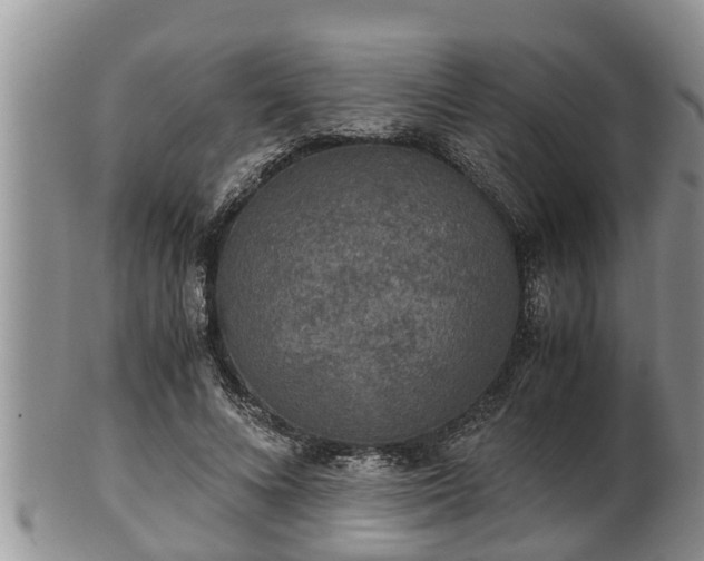 X0000102300688200808011540