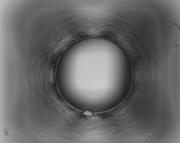 X0000102300689200808011540