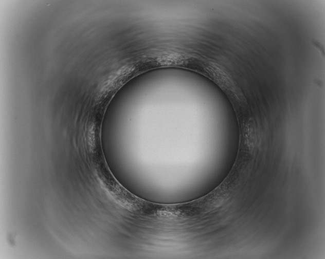 X0000102300690200808011540