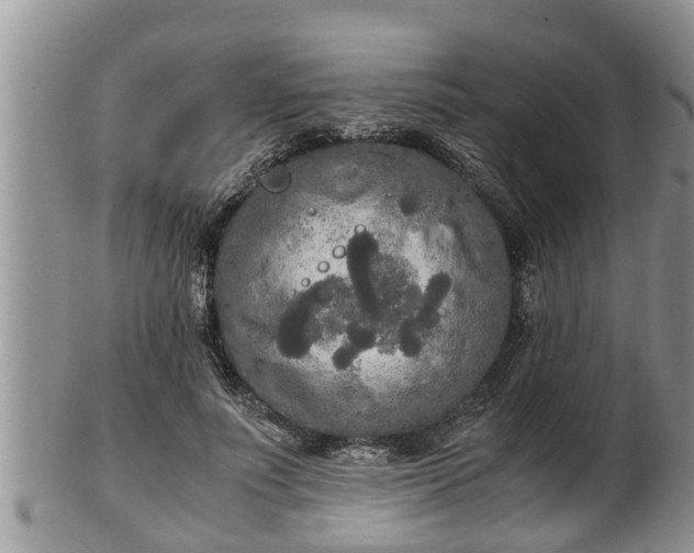 X0000102300691200808011540