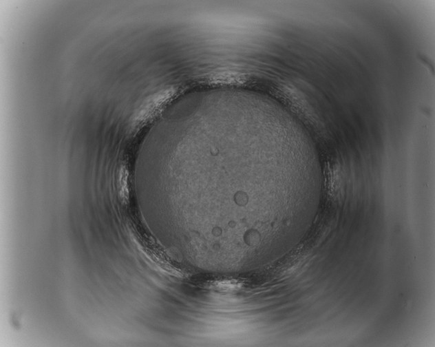 X0000102300692200808011540