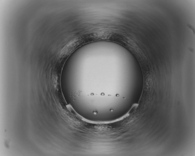 X0000102300693200808011540