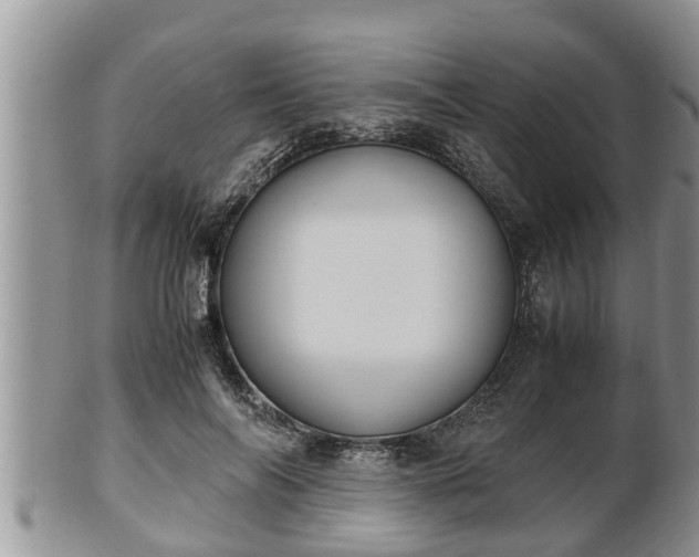 X0000102300694200808011540