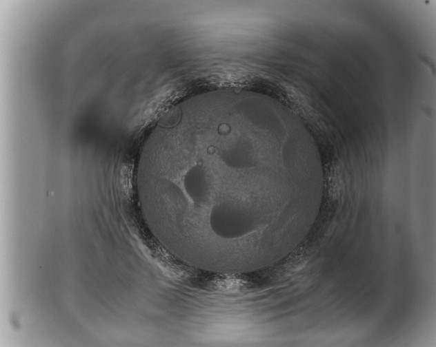 X0000102300695200808011540