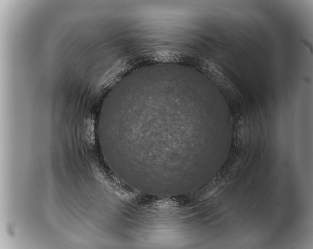 X0000102300696200808011540