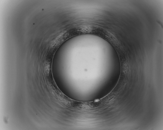 X0000102300697200808011540