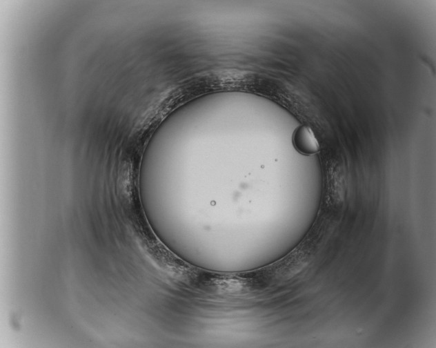 X0000102300698200808011540