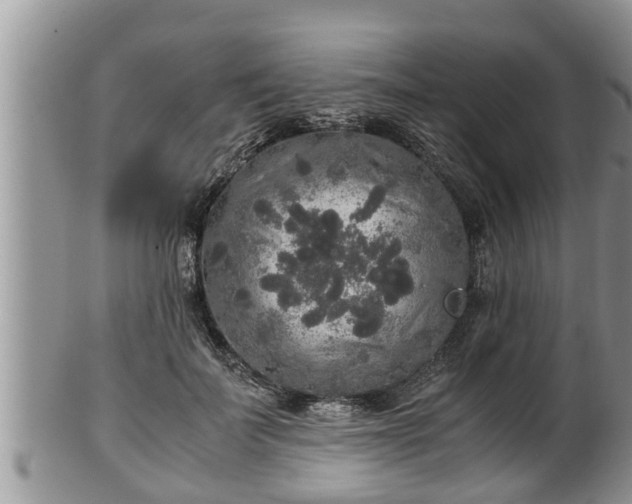 X0000102300699200808011540