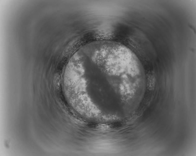 X0000102300701200808011540