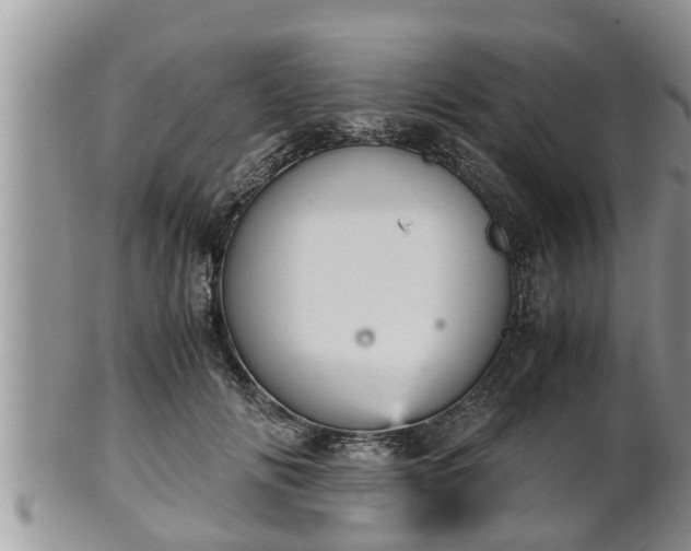 X0000102300702200808011540