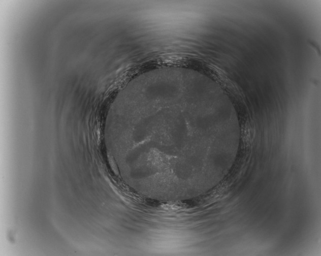 X0000102300703200808011540