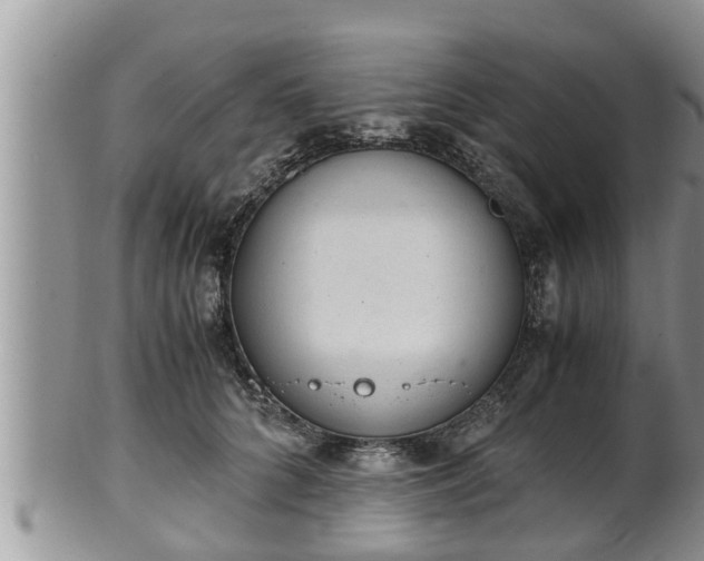 X0000102300704200808011540