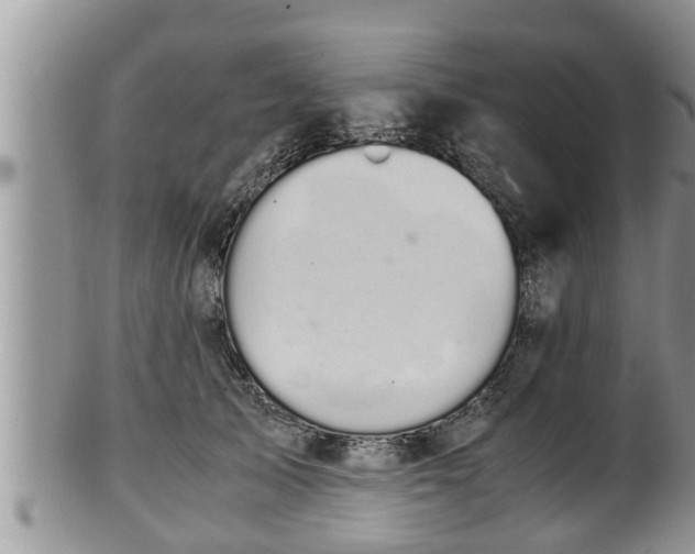 X0000102300705200808011540