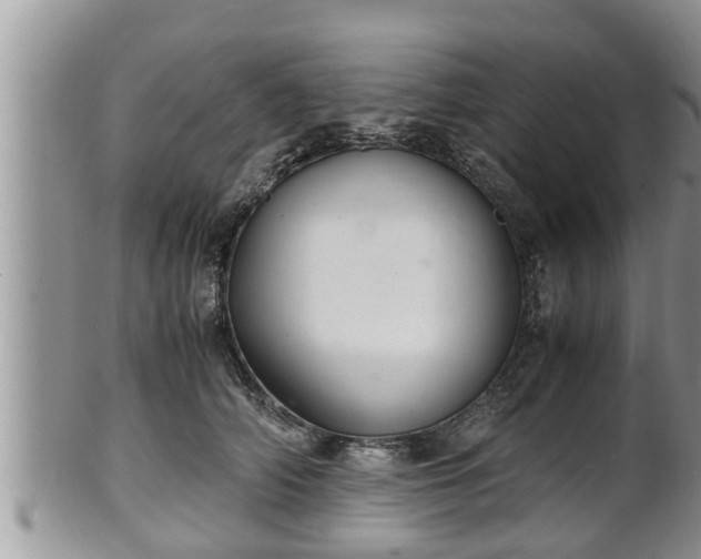 X0000102300706200808011540