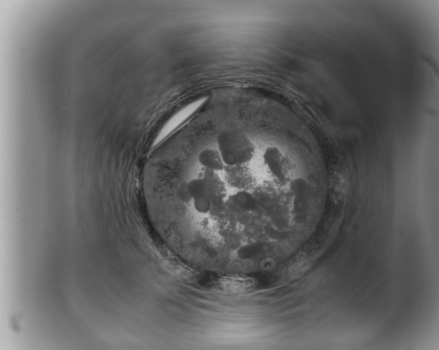 X0000102300707200808011540