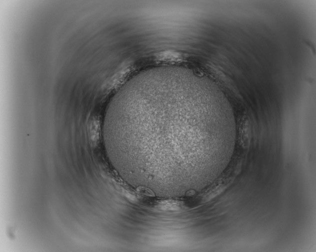 X0000102300708200808011540