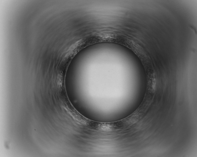 X0000102300710200808011540