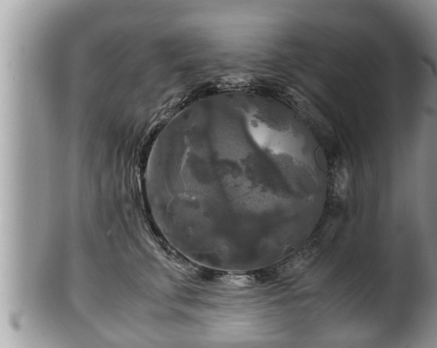 X0000102300711200808011540