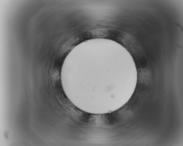 X0000102300713200808011540