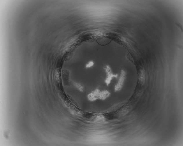 X0000102300715200808011540