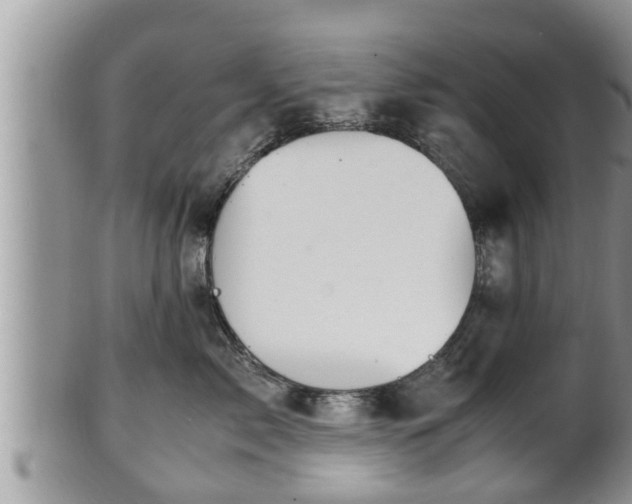 X0000102300717200808011540