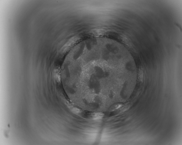 X0000102300719200808011540