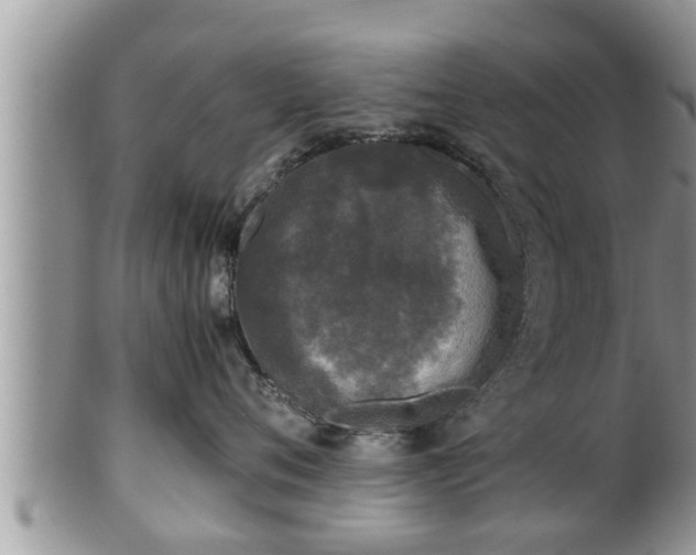 X0000102300720200808011540