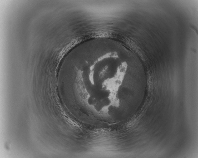 X0000102300721200808011539