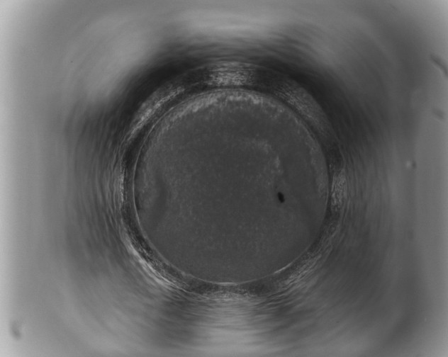 X0000102300722200808011539