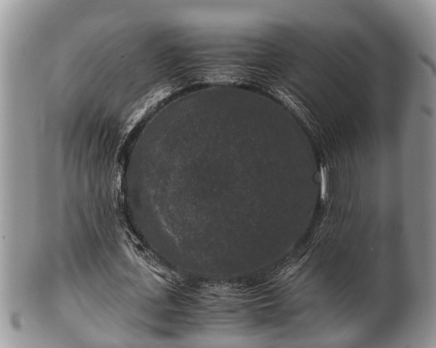 X0000102300723200808011539