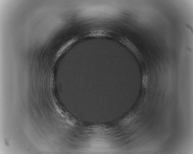 X0000102300724200808011539