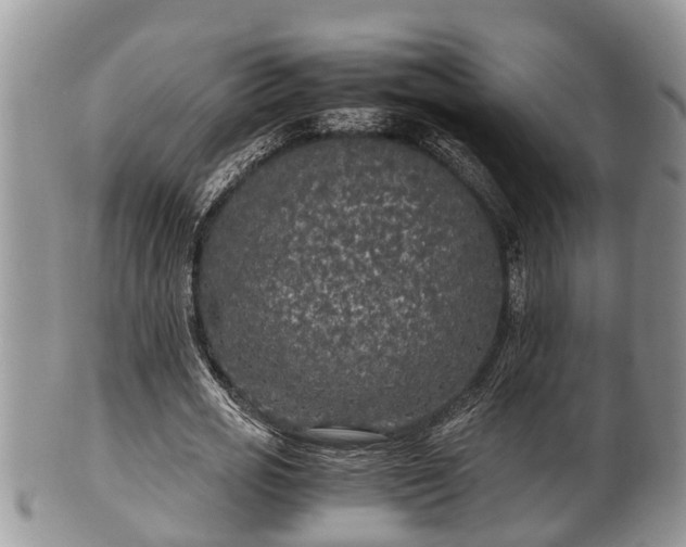 X0000102300725200808011539