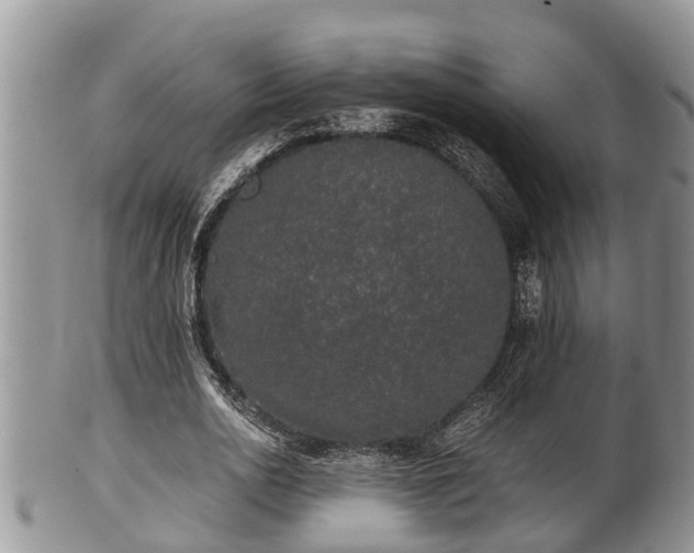 X0000102300726200808011539