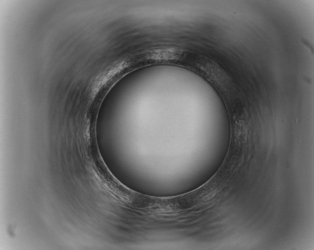 X0000102300727200808011539