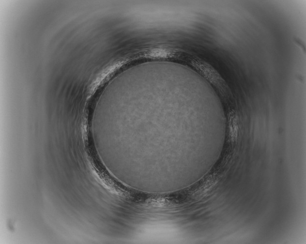 X0000102300728200808011539