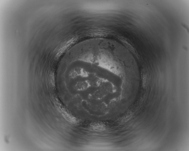 X0000102300729200808011539